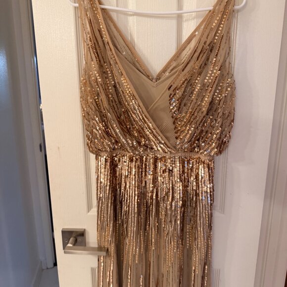 Adrianna Papell Champagne Gold Sequin Gown – Size 8 - Picture 4 of 5